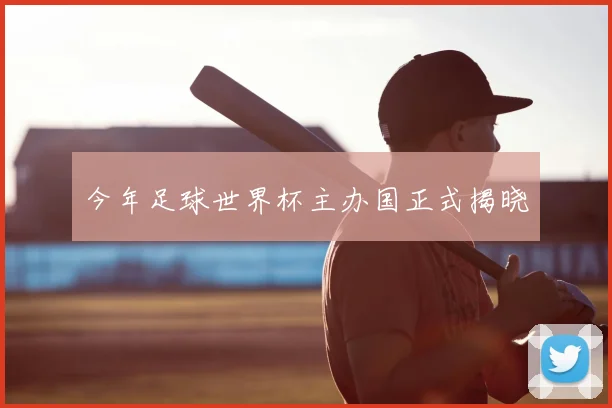 今年足球世界杯主办国正式揭晓