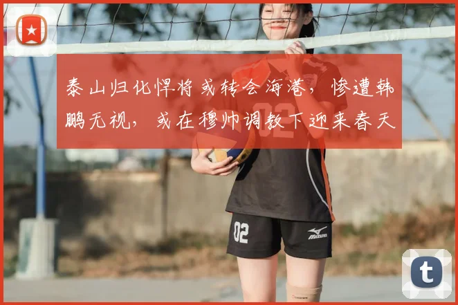 泰山归化悍将或转会海港，惨遭韩鹏无视，或在穆帅调教下迎来春天