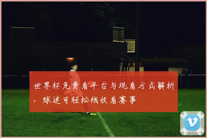 世界杯免费看平台与观看方式解析，球迷可轻松线收看赛事