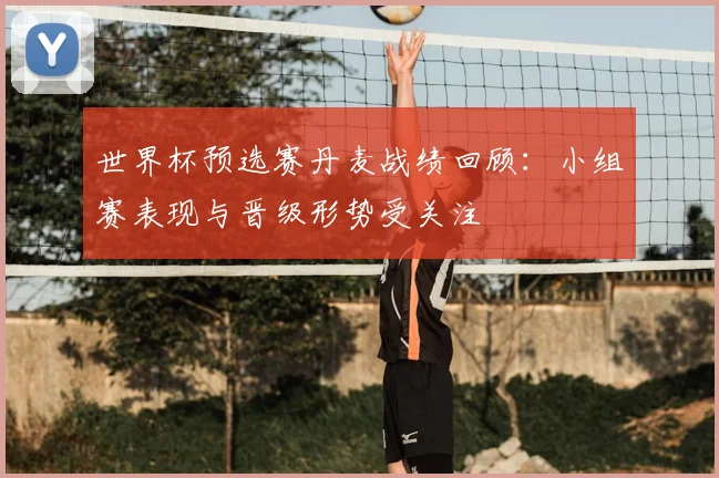 世界杯预选赛丹麦战绩回顾：小组赛表现与晋级形势受关注