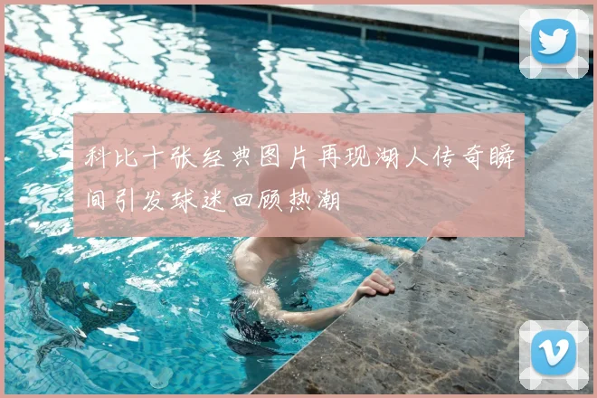 科比十张经典图片再现湖人传奇瞬间引发球迷回顾热潮