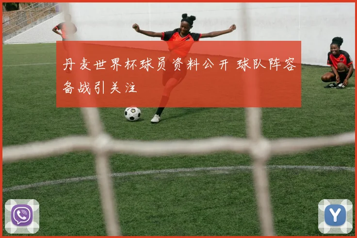 丹麦世界杯球员资料公开 球队阵容备战引关注
