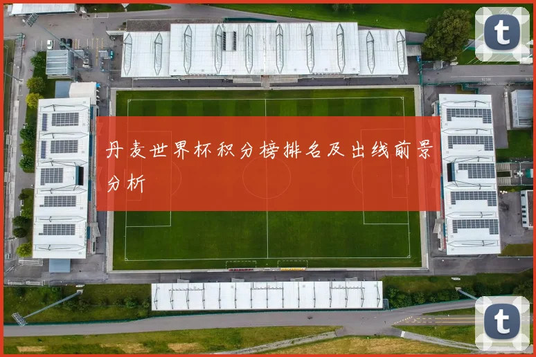 丹麦世界杯积分榜排名及出线前景分析